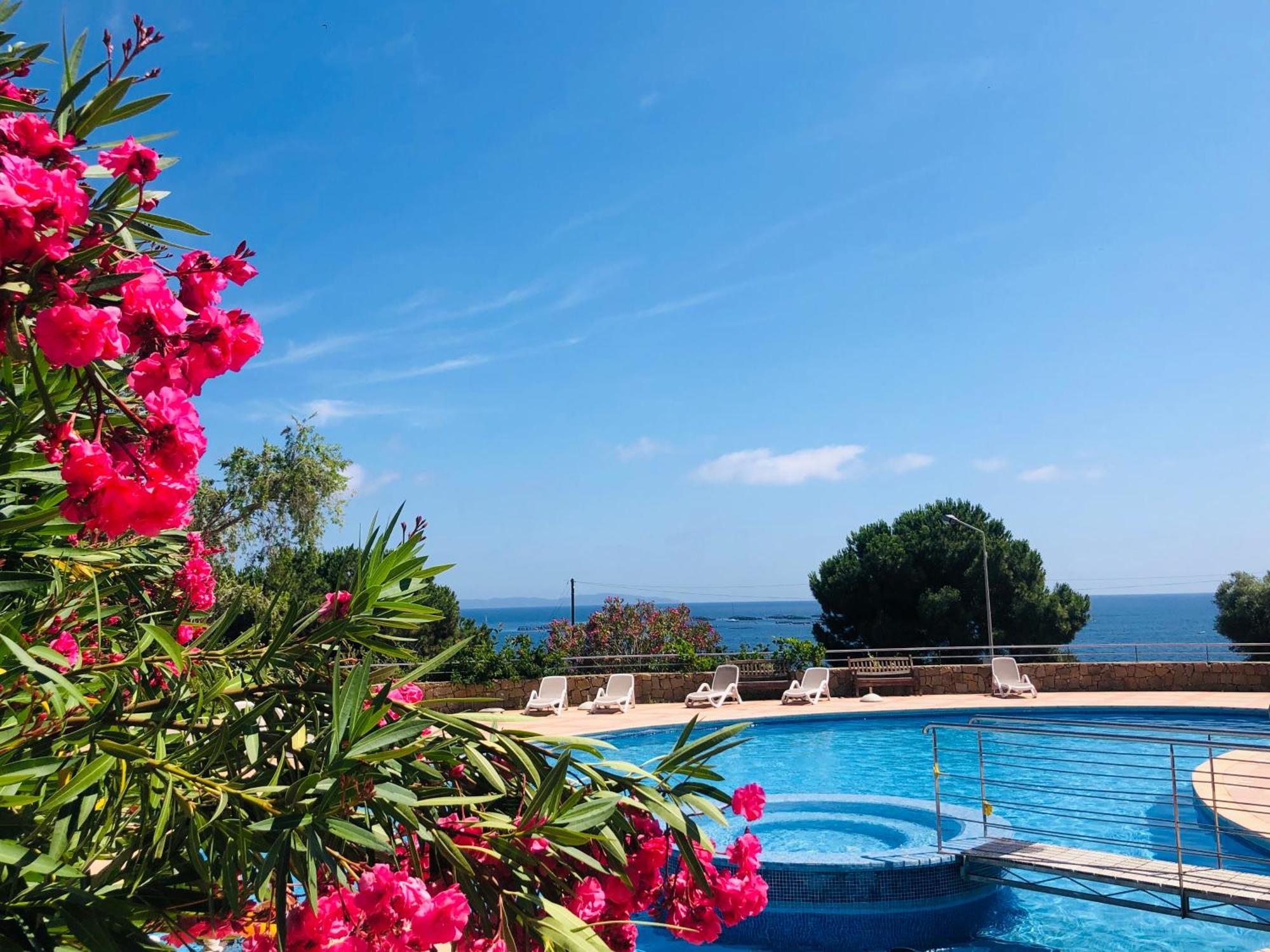 T2 Vue Mer - Résidence Les Sanguinaires Ajaccio  Exterior foto